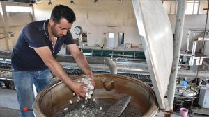 Türkiye nin yaş koza üretim merkezi Çin i gözüne kestirdi