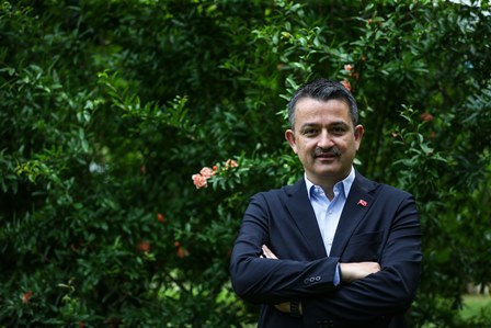 Budama desteği hesaplara yattı