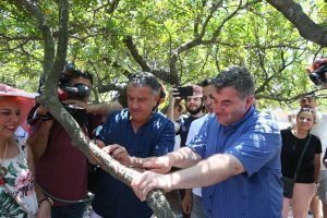 Çeşme den Sakız Damlıyor