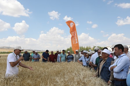 TAGEM sertifikalı tohumları tanıttı
