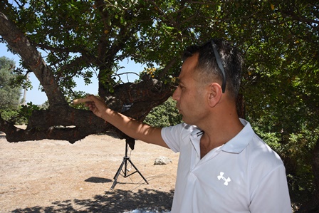 TARIMDA SAKIZ FIRSATI