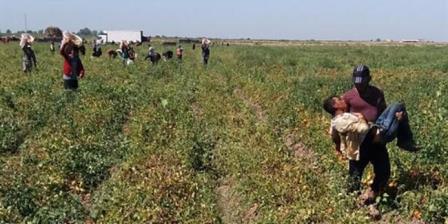 Tarım ve Orman Bakanlığı ndan sıcaklık uyarısı geldi