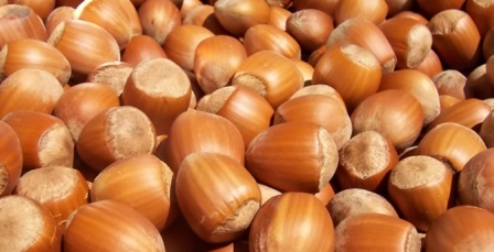 Fındıkta fiyat 20 TL olmalı