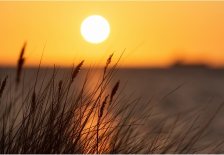 Sıcak hava dalgası su kaynaklarını tehdit ediyor