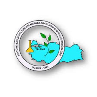 İhracatta söz sahibi olacak yeni tür `kiraz`lar geliyor