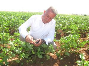 Araban Ovası nda zararlılara karşı mücadele