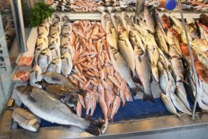 Çipura kültürden palamut denizden