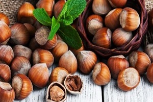 4 Ayda 3 Bin 483 Ton İhracat Yapıldı