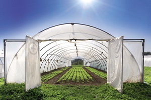 Seracılıkta Yüzde 70 Büyüme Bekleniyor