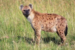 Cezası 19 bin 830 lira