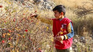 Bu yaz köyümüze geri dönelim