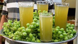 Elazığ da Koruktan Gelen Şifa Projesi