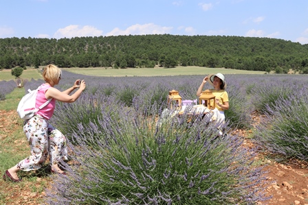 Denizli`de lavanta tarlalarına turist ilgisi