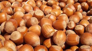 Fındık üreticisine Fiskobirlik sözü