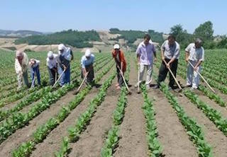 İşsizlik rakamları açıklandı