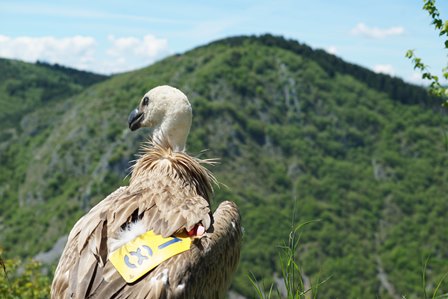 Uçarak geldi kargo ile geri döndü
