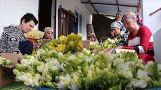 Bu proje dezavantajları yok ediyor