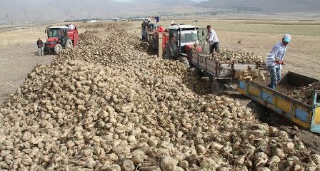 Şeker pancarı çalıştayında kota müjdesi