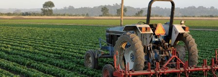 Zorunlu trafik sigortasının yeni teminat tutarları belli oldu