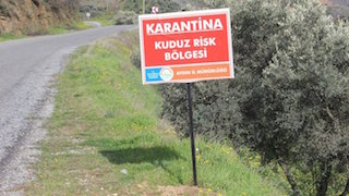 Nazilli de kuduz karantinası
