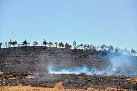 Anız yakanlara para cezası