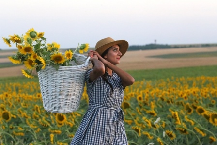 Bir tarla bir telefon ve sonuç