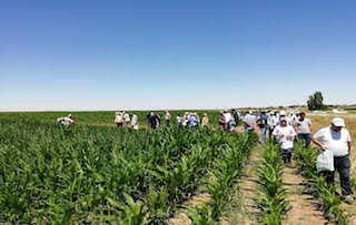 FAO uygulamalı çiftçi okulu eğitimi devam ediyor