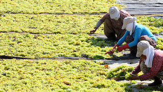 İşsizlik rakamlarında ürkütücü artış