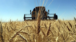 Aylık gerileme fayda etmedi Tarım ÜFE yüzde 22 83 arttı