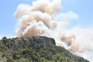 İzmir ve Muğla da orman yangını