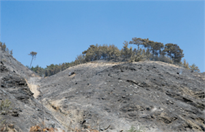 YANAN ARAZİLERDE HASAR TESPİTİ