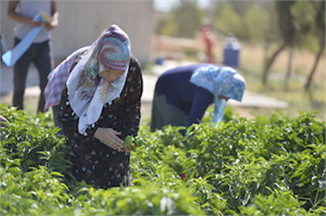 KADINLAR ÜRETTİ KADINLAR KAZANDI