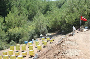 ARICILIĞIN TEMELİ ARILARI SEVMEKTİR