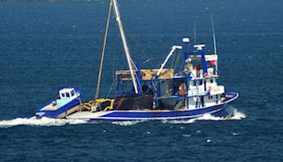 BALIKÇILAR SEZONA HAZIRLANIYOR