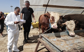 Sağlık Bakanlığı Kurban Bayramı öncesi uyardı