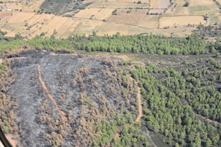 Bir ağacımız daha yanmasın istiyoruz