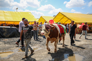 İstanbulun birincisi belli oldu