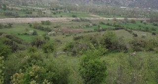 Son başvuru tarihi 31 Aralık 2019