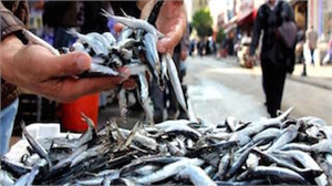 BALIKTA BEREKETLİ YIL BEKLENTİSİ