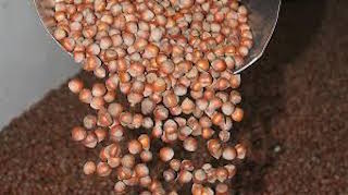 FİSKOBİRLİK ALIMLARA BAŞLIYOR