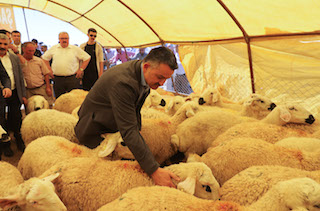 Pakdemirli Kesim için mezbahaları tercih edin