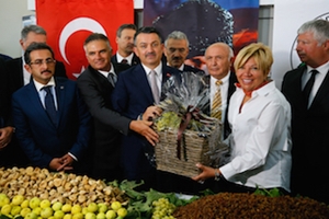 Kuru Uzumde Piyasa Coktu Gozler Tmo Da Haberler Tarim Com Tr