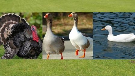 KIRSAL KALKINMA DESTEKLERİNDE YENİ DÜZENLEMELER