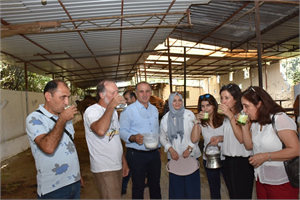 DEVENİN ETİ DE SÜTÜ DE DEĞER KAZANACAK