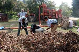 TMO DAN FINDIK AÇIKLAMASI