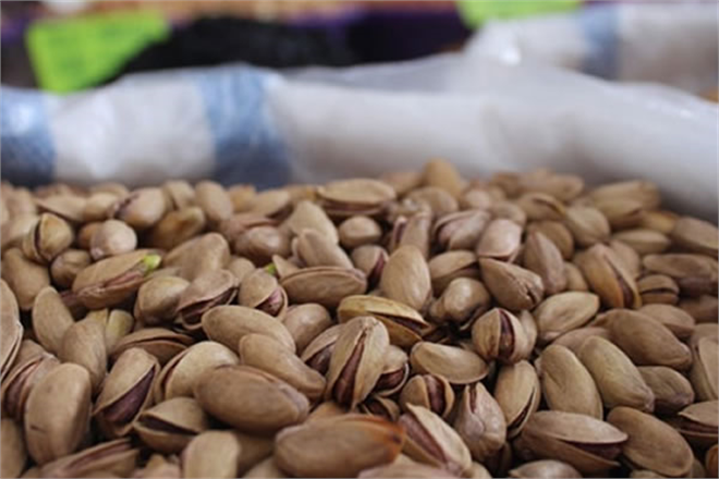 Tarım Ürünleri İhracatında Sert Kabuklu Meyveler Lider