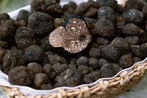 Ticari Hacmi 130 Milyon Lirayı Aştı