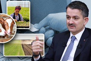 2 Milyar 384 Milyon Liralık Destek Ödemeleri Bugün Başlıyor