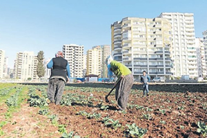 Kaybedilen Tarım Arazisi Miktarında Büyük Düşüş