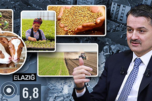 Elazığ ve Malatya daki Üreticilerin Tarımsal Destekleri Ödeniyor